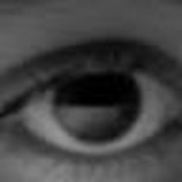 Meet your Posher, Lisa - Picture 1 of 1